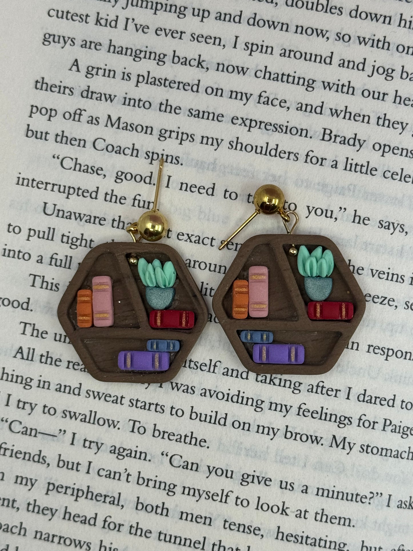 Hexagon Bookcase Earrings
