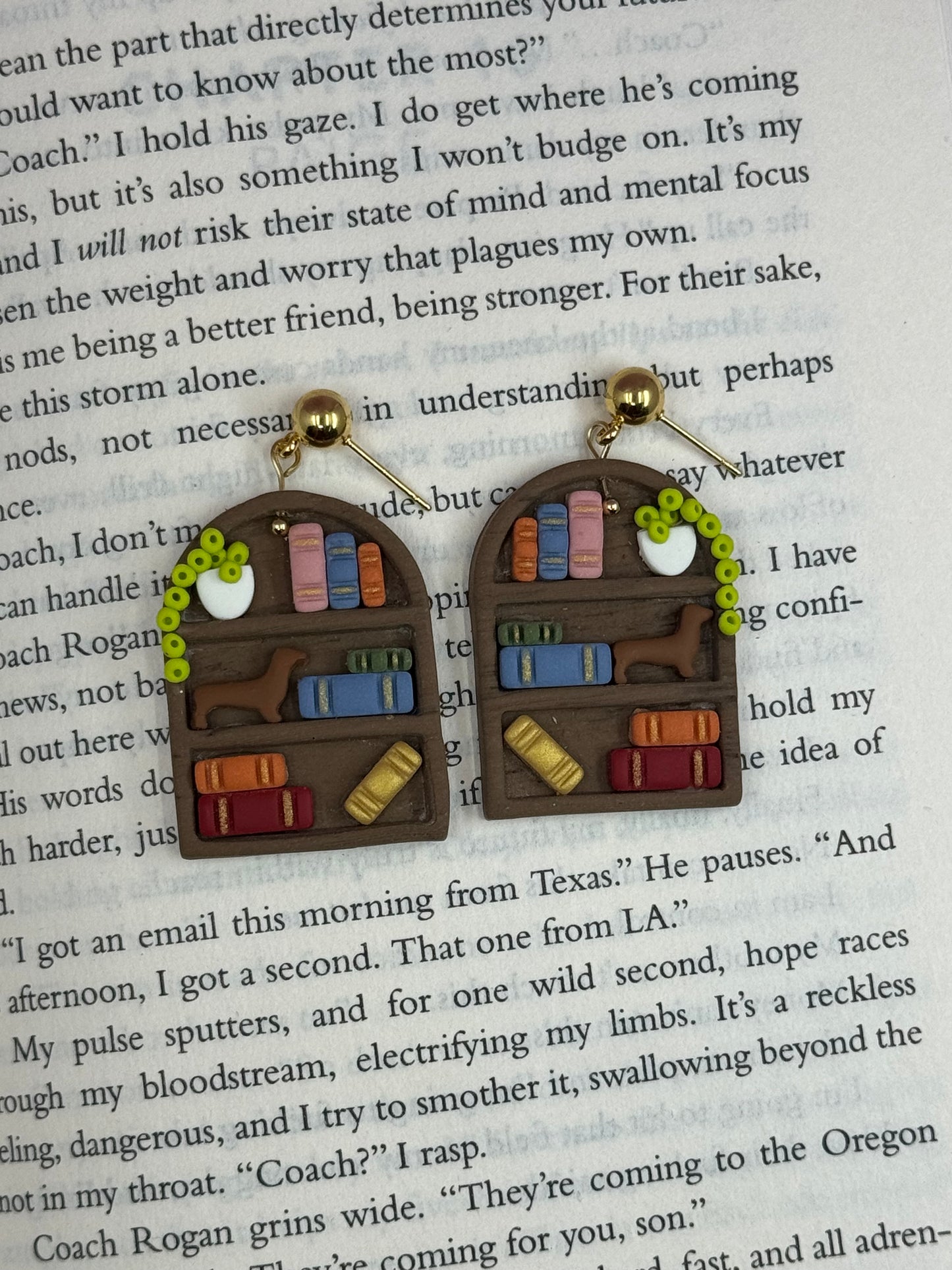 Arch Bookcase Earrings