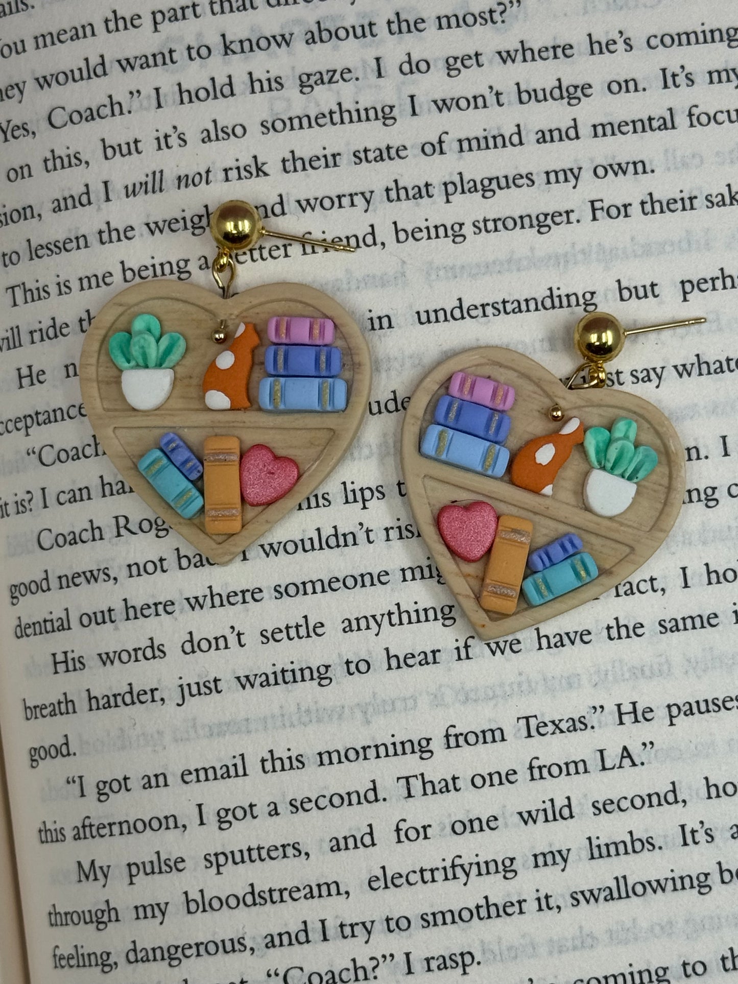 Heart Shaped Bookcase Earrings